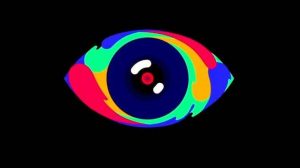 Concursantes Gran Hermano 17 GH 17