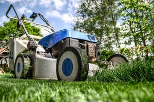 Servicios de Jardinería