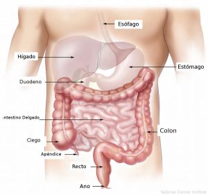 CancerColonNow: una cuenta que informa sobre el cáncer de colon