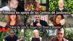 Llena de vida tu hogar con flores y plantas