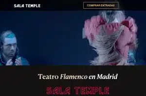 Sala Temple, el mejor flamenco en Madrid. Imagen de la web.
