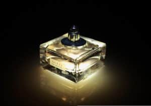 Perfumes: cómo elegir la fragancia adecuada según estilo de vida, ocasión y percepción olfativa